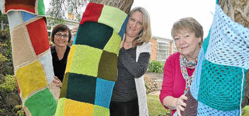Loretta Grayson, Karina Devine and Pat Benkendorff prepare the art gallery tree for yarn bombing day tomorrow. Loretta Grayson, Karina Devine and Pat Benkendorff prepare the art gallery tree for yarn bombing day tomorrow.